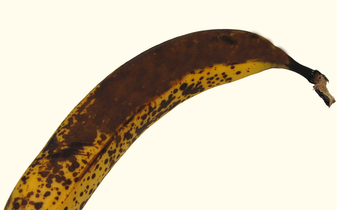 Banana com a casca escura: é bom ou ruim?