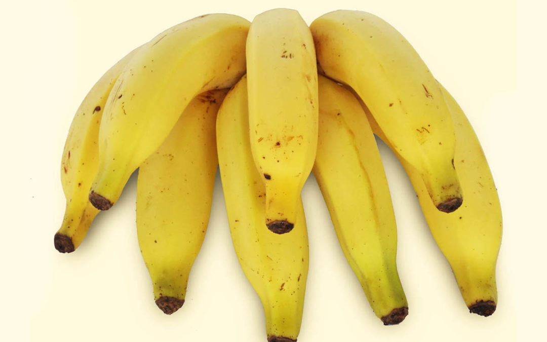 Banana-prata: conheça os diferentes tipos de banana