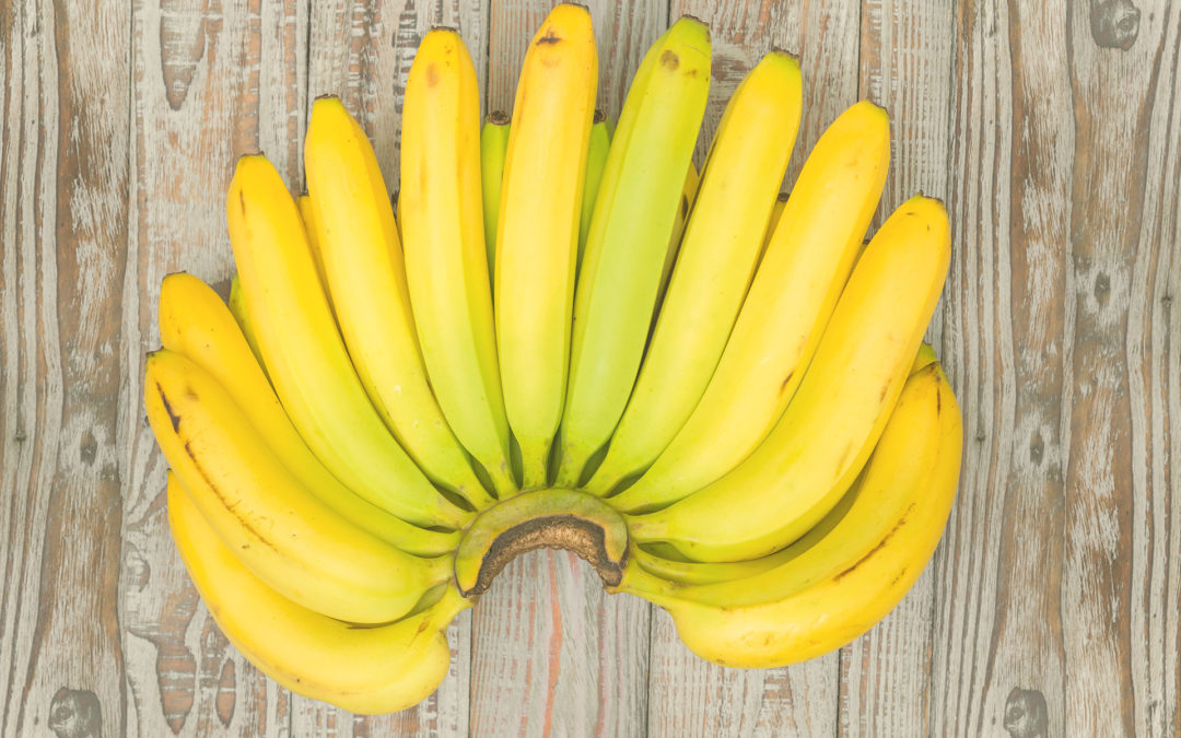 3 mitos sobre as nossas queridas bananas